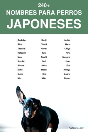 nombres japoneses para perros