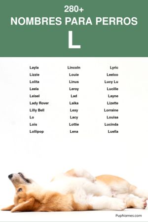 nombres para perros que empiezan con l