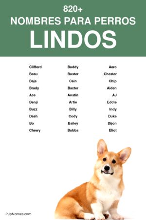 nombres lindos para perros