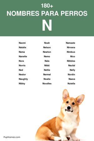 nombres para perros que empiezan con n
