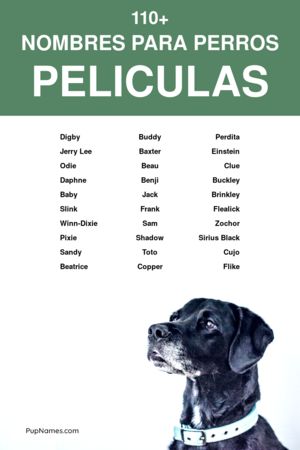 nombres de películas para perros
