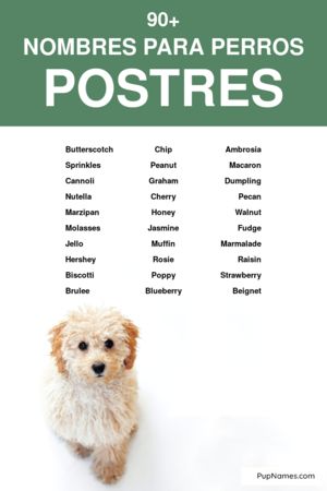 nombres de postres para perros