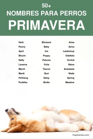 nombres de primavera para perros