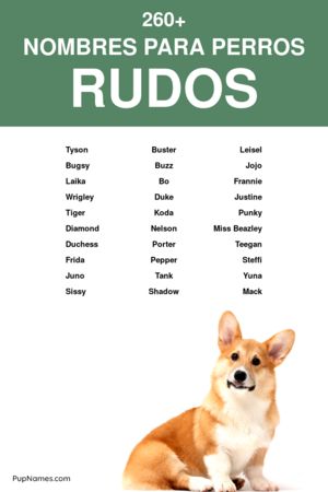 nombres rudos para perros