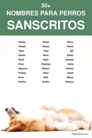 nombres sánscritos para perros