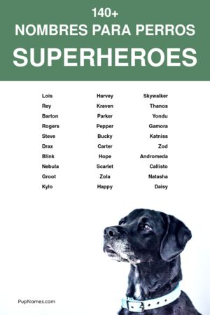 nombres para perros de superhéroes