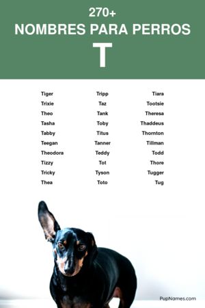 nombres para perros que empiezan con t