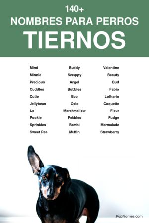 nombres tiernos para perros