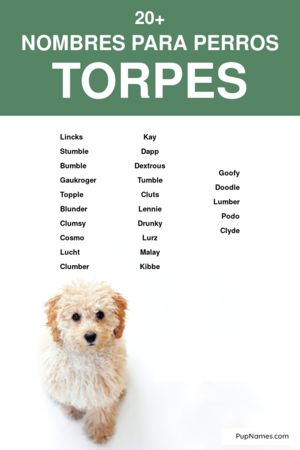 nombres para perros torpes