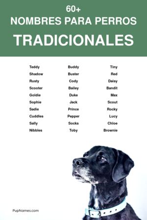 nombres tradicionales para perros