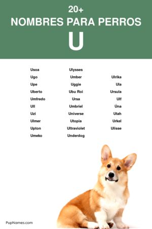 nombres para perros que empiezan con u