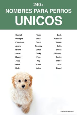 nombres únicos para perros