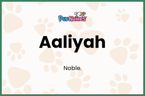 Aaliyah dog name meaning