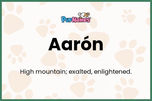 Aarón dog name meaning