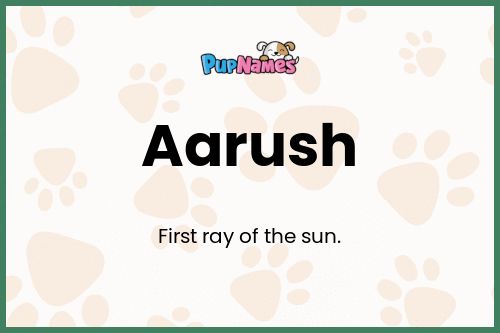 Aarush dog name meaning