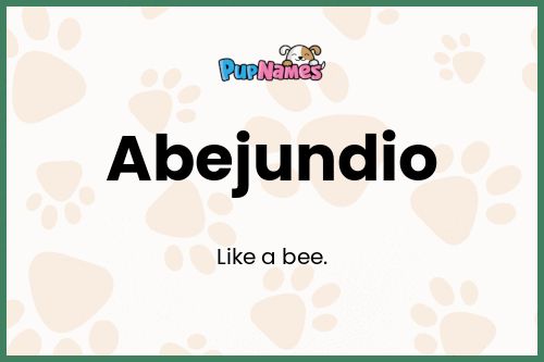 Abejundio dog name meaning