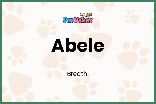 Abele dog name meaning