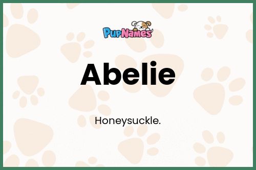 Abelie dog name meaning