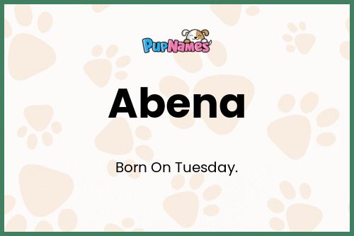 Abena dog name meaning