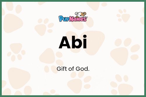 Abi dog name meaning