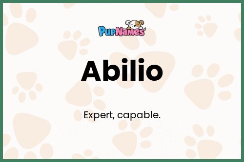 Abilio dog name meaning