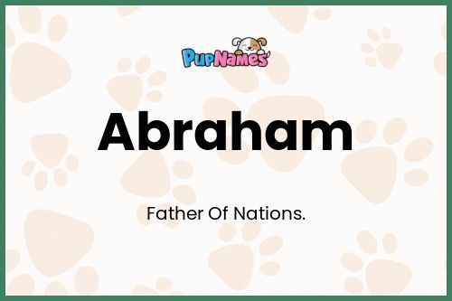 Abraham dog name meaning