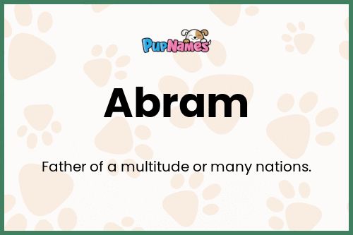 Abram dog name meaning