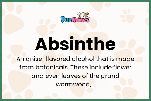 Absinthe dog name meaning