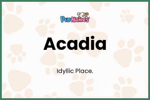 Acadia dog name meaning