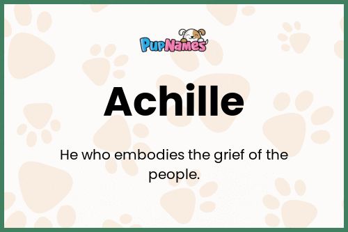 Achille dog name meaning