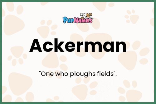 Ackerman dog name meaning