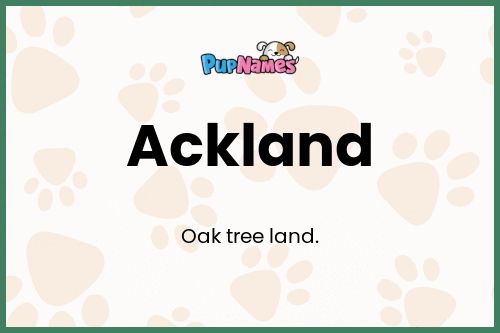 Ackland dog name meaning