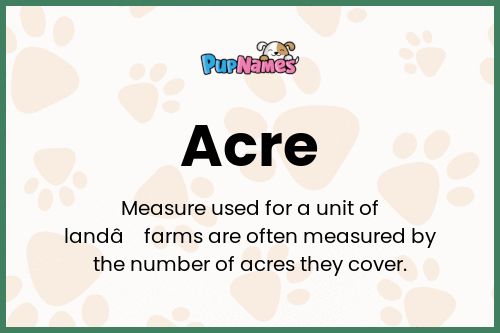 Acre dog name meaning