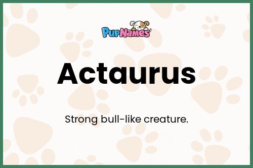 Actaurus dog name meaning