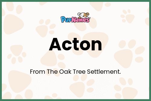 Acton dog name meaning