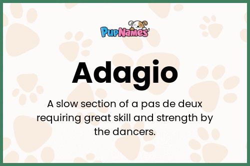Adagio dog name meaning