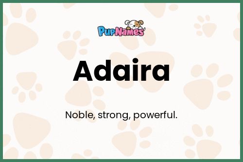 Adaira dog name meaning