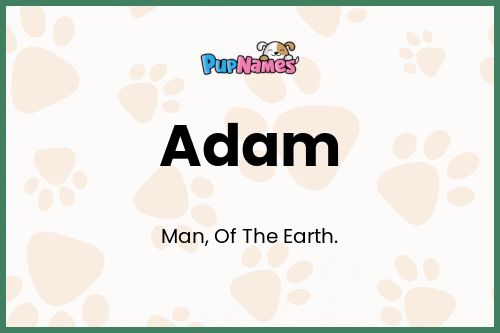 Adam dog name meaning