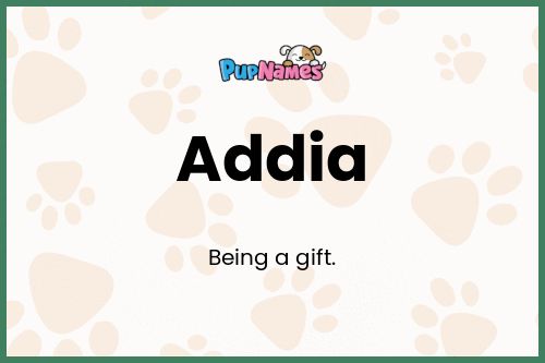 Addia dog name meaning