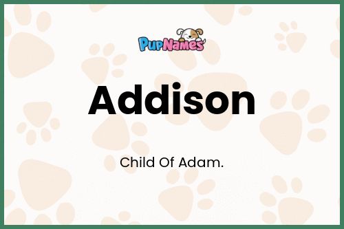 Addison dog name meaning