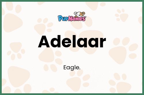 Adelaar dog name meaning