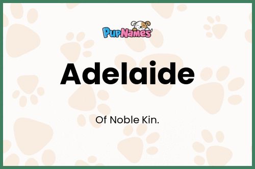 Adelaide dog name meaning