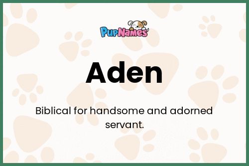 Aden dog name meaning