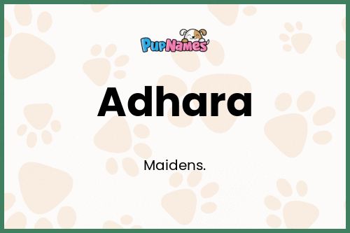 Adhara dog name meaning