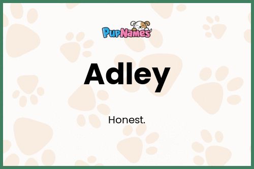 Adley dog name meaning