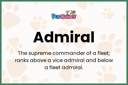 Admiral dog name meaning