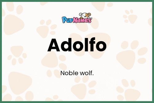 Adolfo dog name meaning