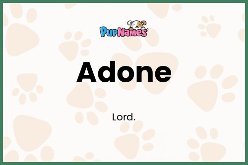 Adone dog name meaning