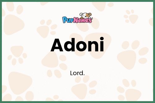 Adoni dog name meaning