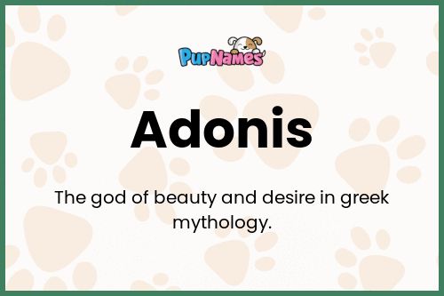 Adonis dog name meaning